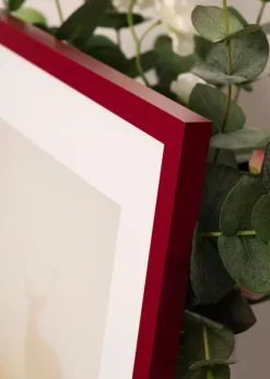 Ram Selection Raspberry 50x50 cm