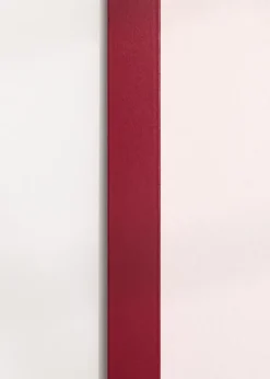 Ram Selection Raspberry 50x50 cm