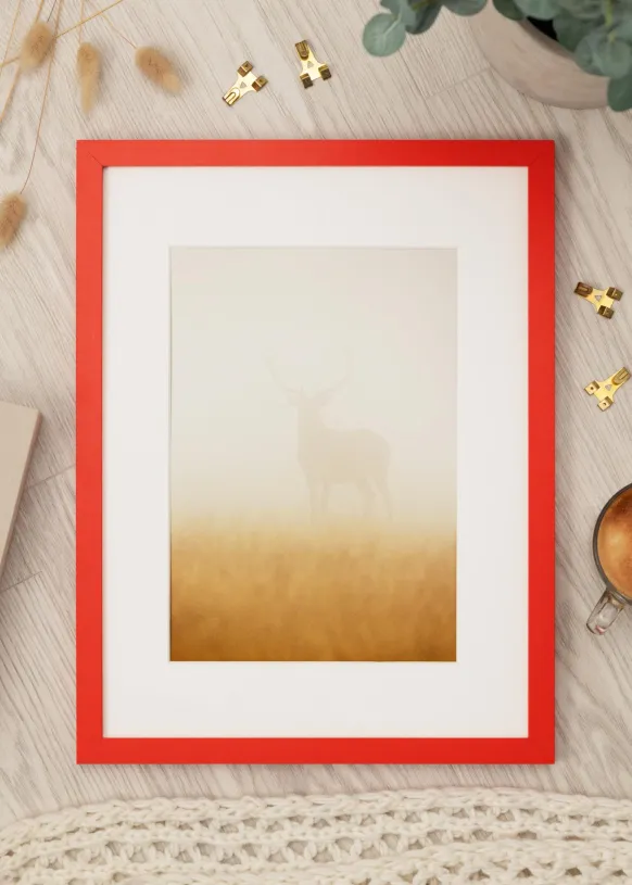 Ram Selection Red 21x29.7 cm (A4)
