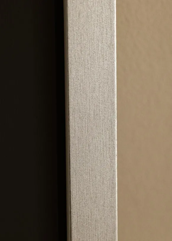 Ram Selection Silver 70x100 cm - Passepartout Svart 61x91,5 cm
