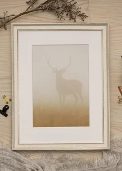 Ram Shabby Chic Vit 50x50 cm