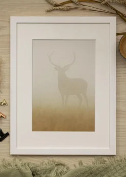 Ram Stilren Glas Vit 54x100 cm