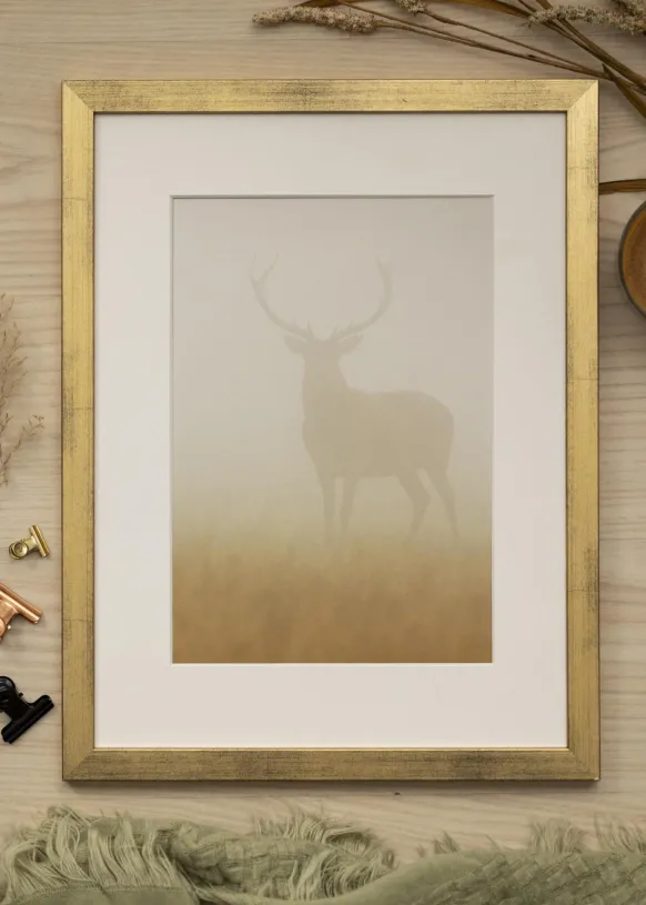 Ram Stilren Guld 24x30 cm