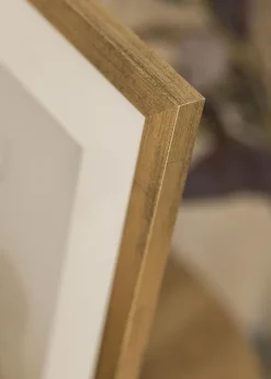 Ram Stilren Guld 20x30 cm