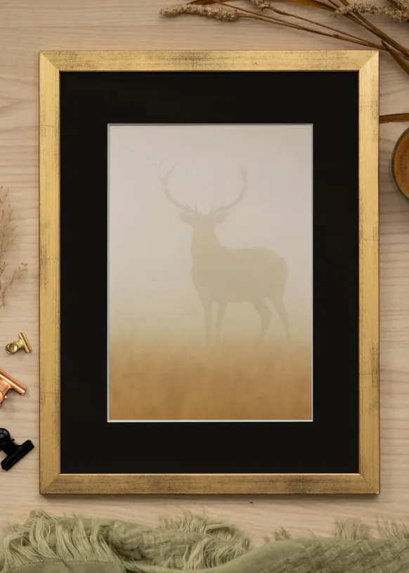 Ram Stilren Guld 50x70 cm - Passepartout Svart 33x56 cm