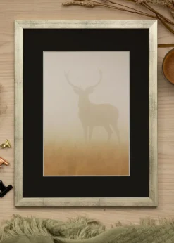 Ram Stilren Silver 50x60 cm - Passepartout Svart 14x18 inches