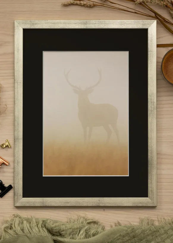 Ram Stilren Silver 40x50 cm - Passepartout Svart 28x35 cm
