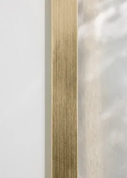 Ram Trendy Guld 50x100 cm