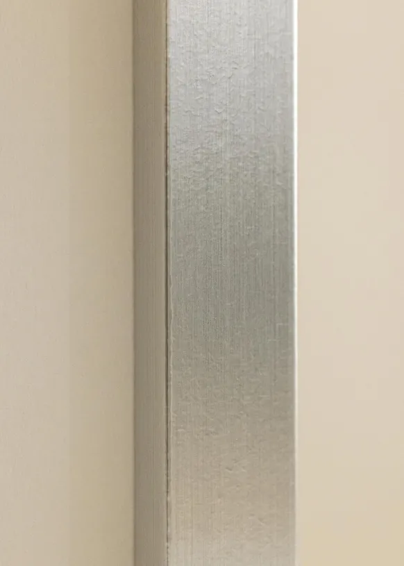 Ram Trendy Silver 60x80 cm