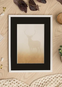 Ram Trendy Vit 13x18 cm - Passepartout Svart 3,5x5 inches