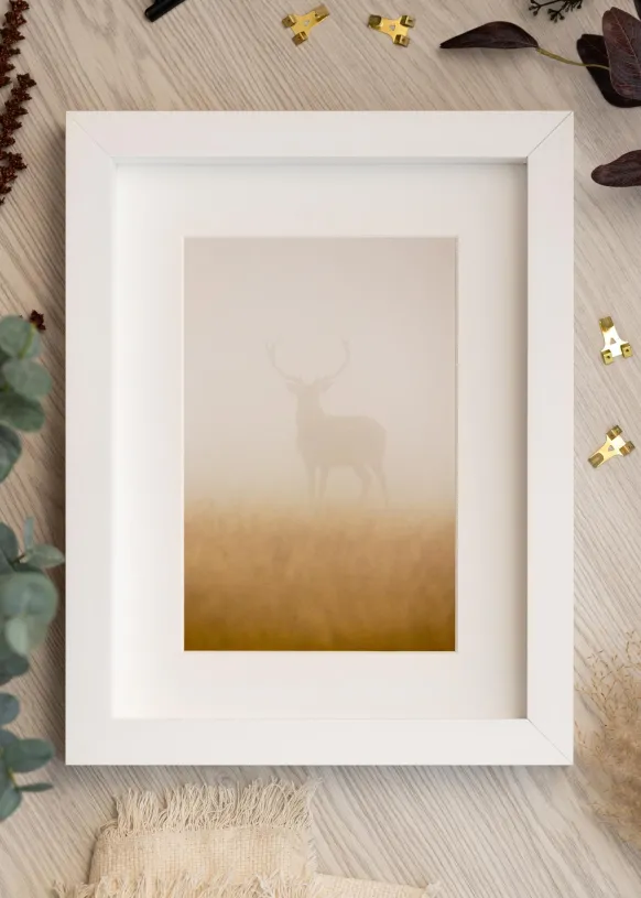 Ram Tyr Vit - Valfri Storlek (Akrylglas)
