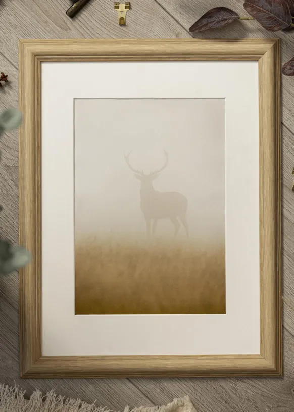 Ram Västkusten Ek 50x60 cm