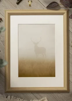 Ram Västkusten Ek 45x50 cm