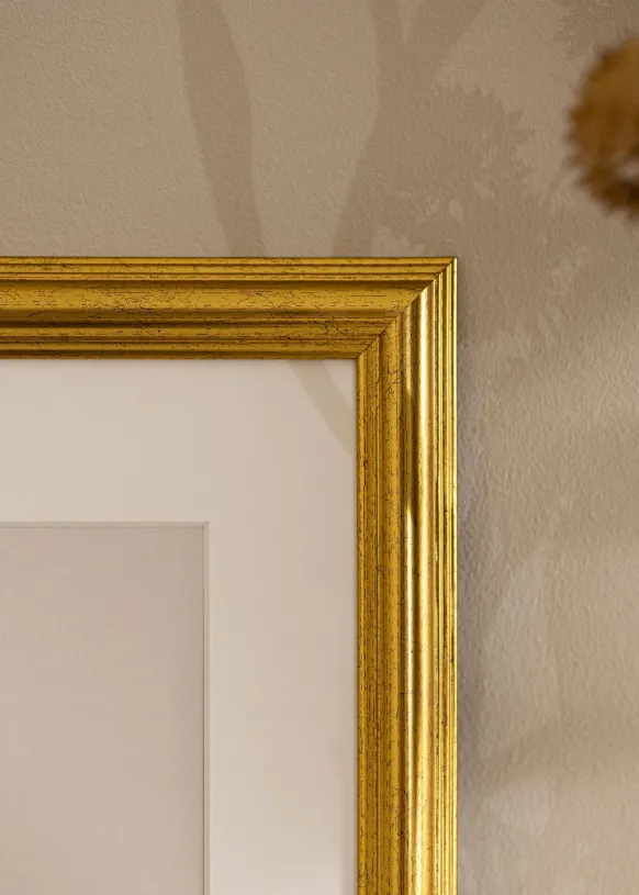 Ram Västkusten Guld 15x30 cm