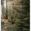 Rays Part 2 Canvastavla (30x40 cm)