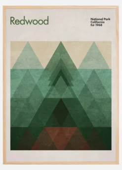 Redwood Poster (21x29.7 cm (A4))