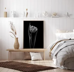 Rembrandt Tulip Poster (21x29.7 cm (A4))
