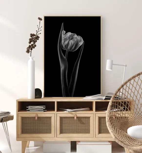 Rembrandt Tulip Poster (21x29.7 cm (A4))