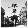 Rodeo Drive Canvastavla (30x40 cm)