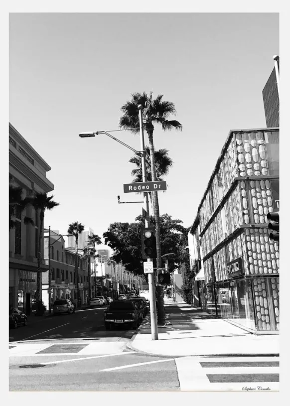 Rodeo Drive Canvastavla (30x40 cm)
