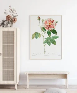 Rose Poster (21x29.7 cm (A4))
