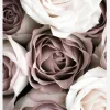 Roses Canvastavla (30x40 cm)