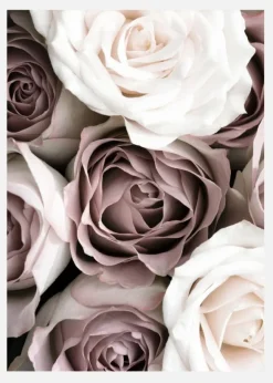 Roses Canvastavla (30x40 cm)