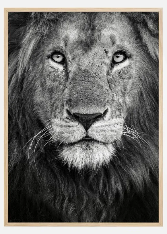 Royal Lion portrait Poster (21x29.7 cm (A4))