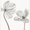 Same Tulip Front And Backview Canvastavla (30x40 cm)