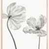 Same tulipfront and backview Poster (21x29.7 cm (A4))
