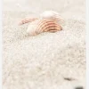 Seashell Beach Canvastavla (30x40 cm)