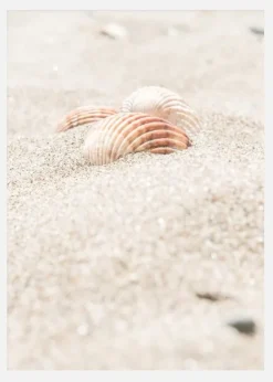 Seashell Beach Canvastavla (30x40 cm)