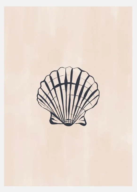 Seashell Canvastavla (30x40 cm)