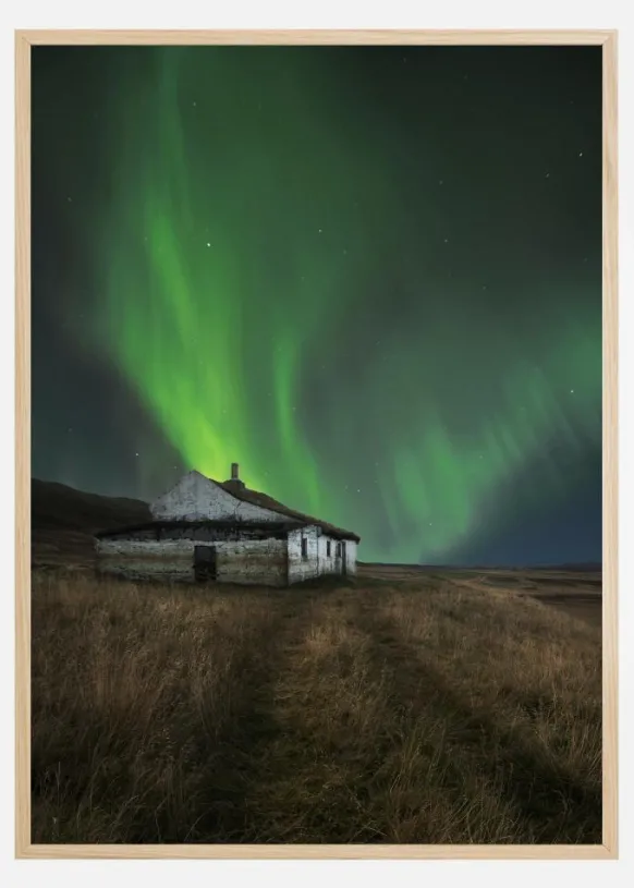 Selhagi Poster (21x29.7 cm (A4))