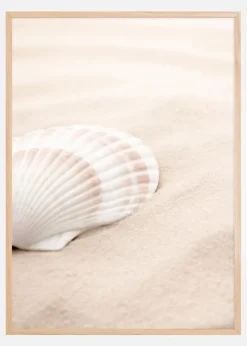 Shell Poster (21x29.7 cm (A4))