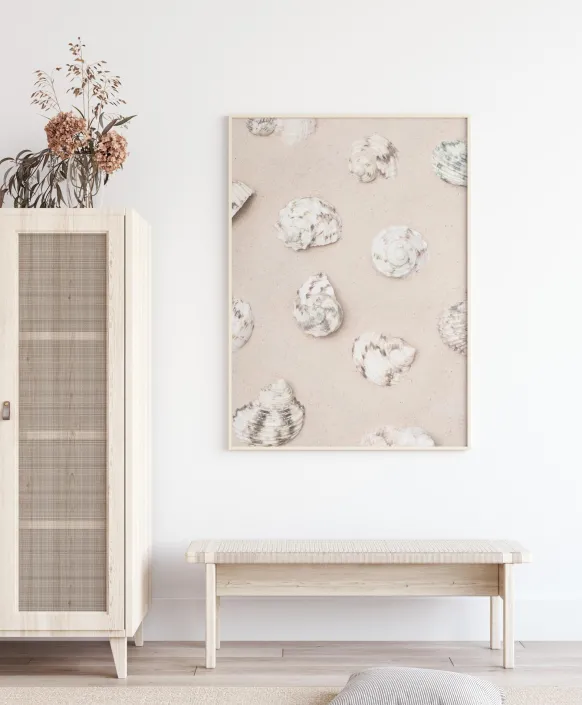 Shells Poster (21x29.7 cm (A4))