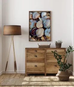 Shells Poster (21x29.7 cm (A4))