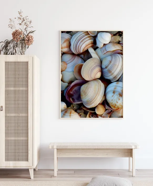 Shells Poster (21x29.7 cm (A4))