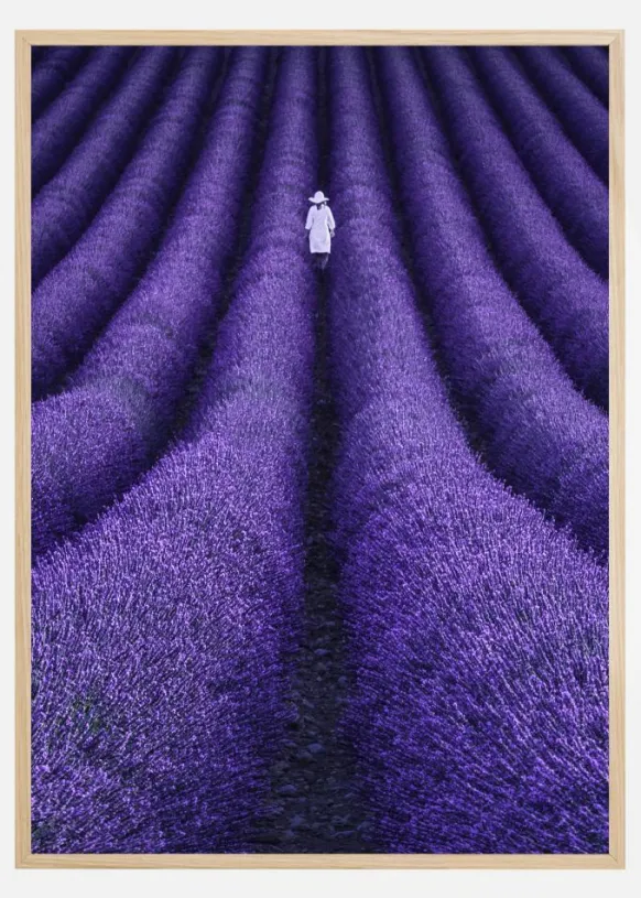 SHE Poster (21x29.7 cm (A4))