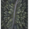 Small Road Through The Forest Canvastavla (30x40 cm)