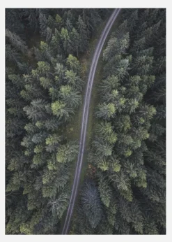 Small Road Through The Forest Canvastavla (30x40 cm)