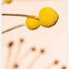 Small Yellow Flowers Canvastavla (30x40 cm)