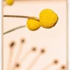 Small Yellow Flowers Poster (21x29.7 cm (A4))
