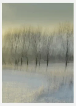 Snowy Morning Canvastavla (30x40 cm)