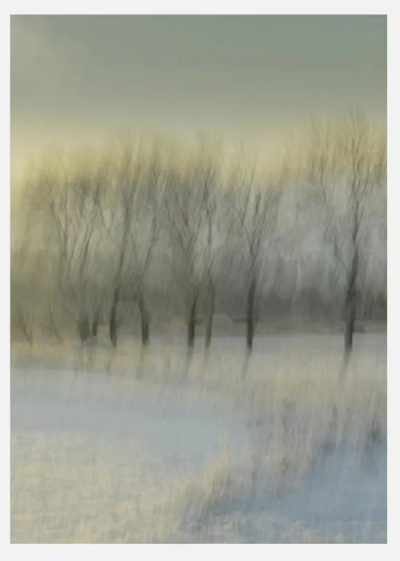Snowy Morning Canvastavla (30x40 cm)