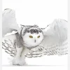Snowy Owl Jazz Wings Canvastavla (30x40 cm)