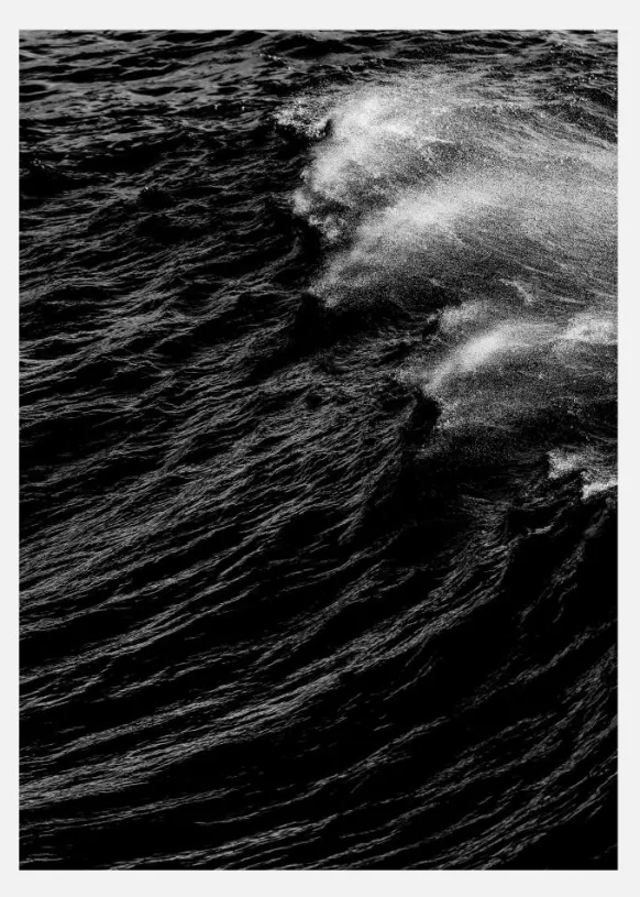 Solitary Canvastavla (30x40 cm)