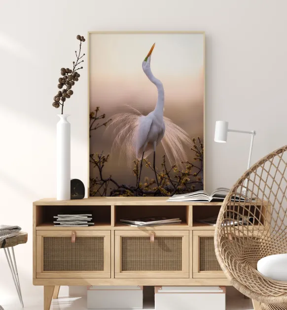 Solo Dance Poster (21x29.7 cm (A4))