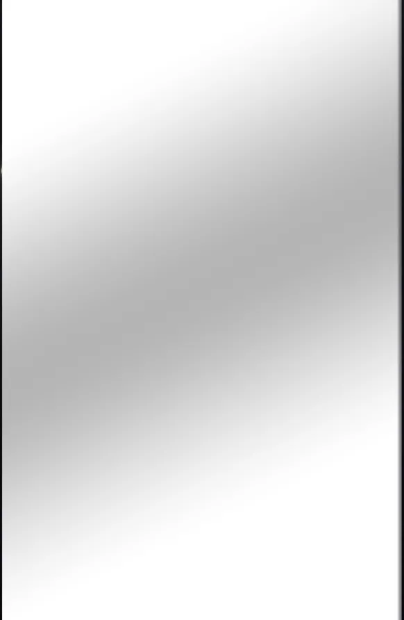 Spegel Narrow Svart 35,5x50,5 cm