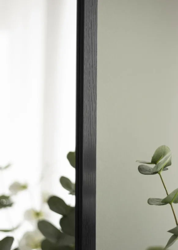 Spegel Overdoor Svart 34x100 cm